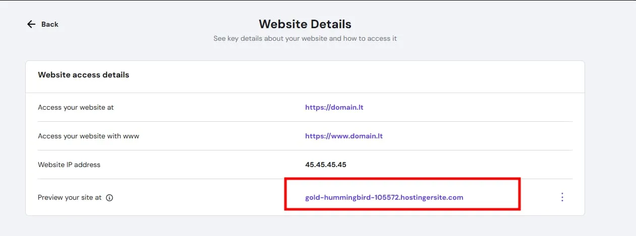 Hostinger 网站详情页面,突出显示临时预览域名