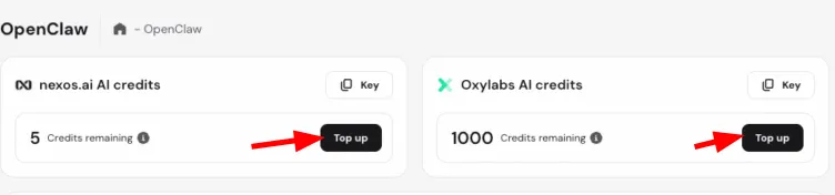 OpenClaw 控制面板显示两张 AI 额度卡片，左侧卡片的 Top up 按钮已被高亮标出
