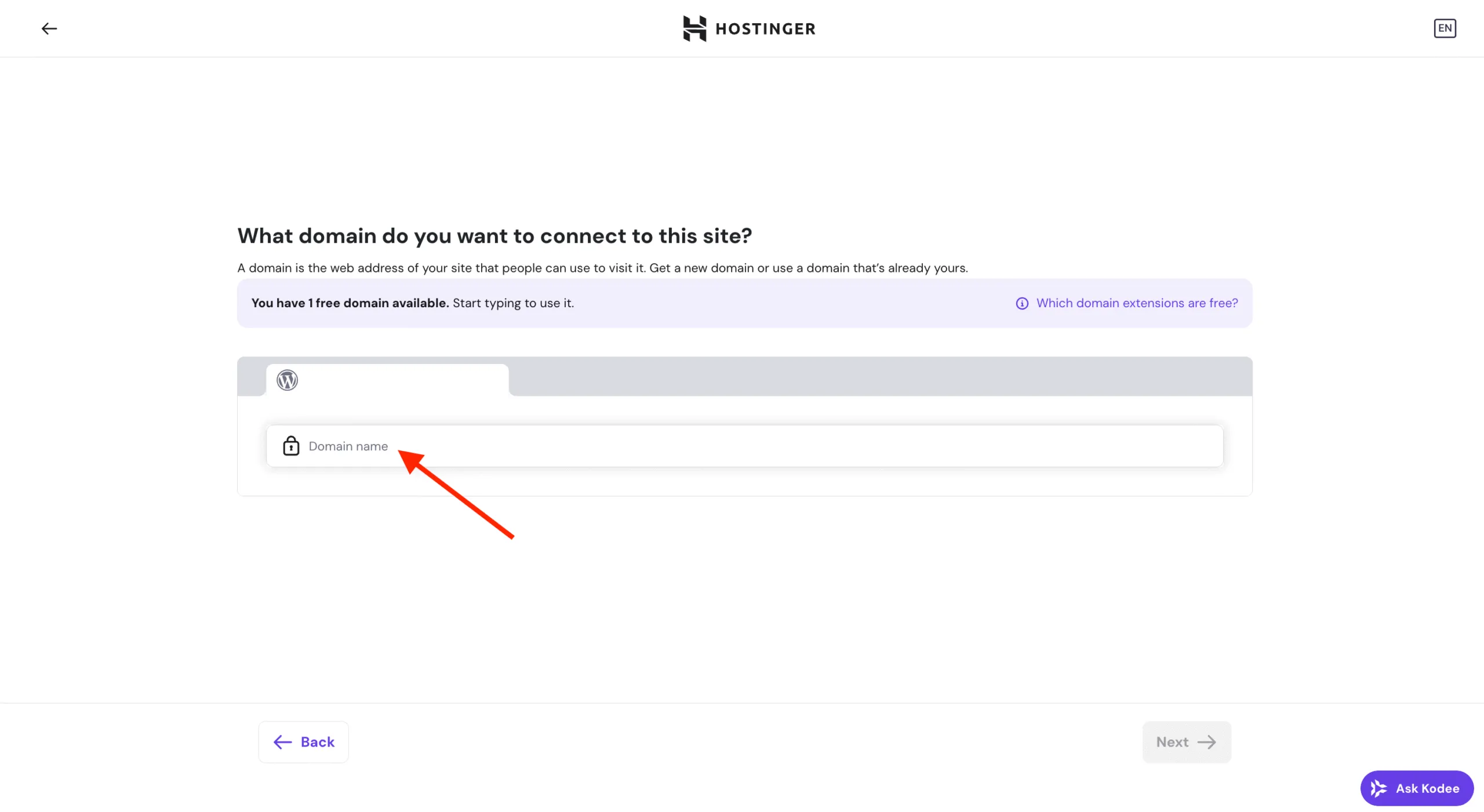 Hostinger 网站设置要求输入域名,域名输入框由箭头指示并高亮显示