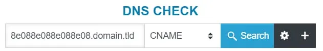 DNS 检查工具，Search 按钮和 CNAME 选择器已高亮显示